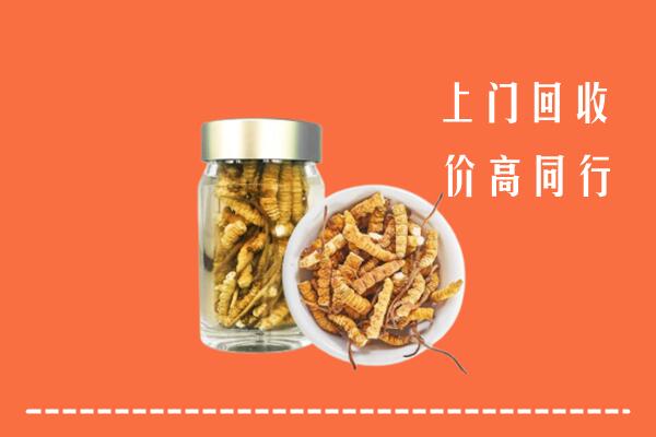 叙州区回收冬虫夏草